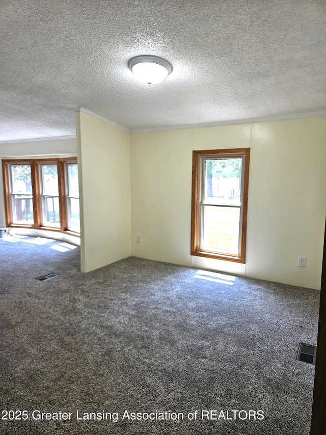 13723 Clintonia Rd, Portland, MI 48875 - photo 27