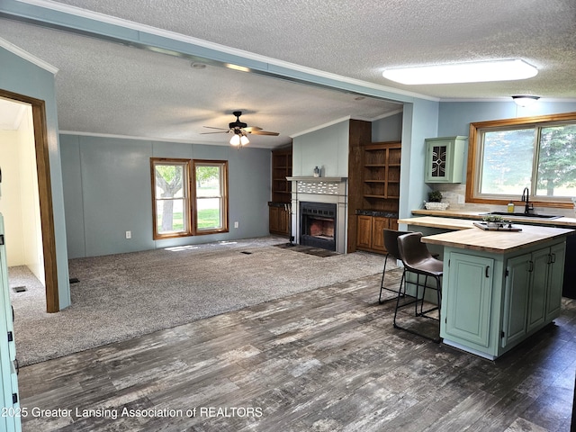 13723 Clintonia Rd, Portland, MI 48875 - photo 17