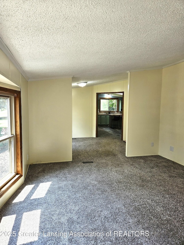 13723 Clintonia Rd, Portland, MI 48875 - photo 26
