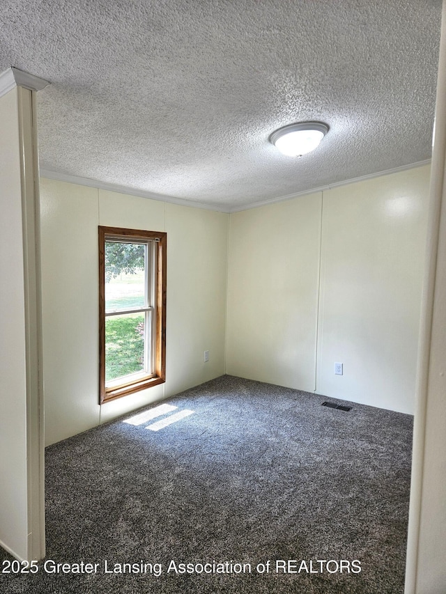 13723 Clintonia Rd, Portland, MI 48875 - photo 28