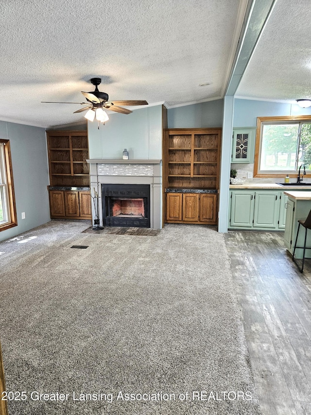 13723 Clintonia Rd, Portland, MI 48875 - photo 22