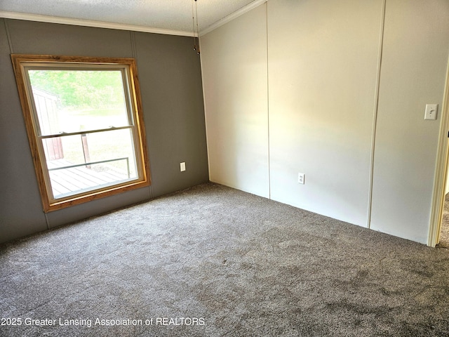 13723 Clintonia Rd, Portland, MI 48875 - photo 47