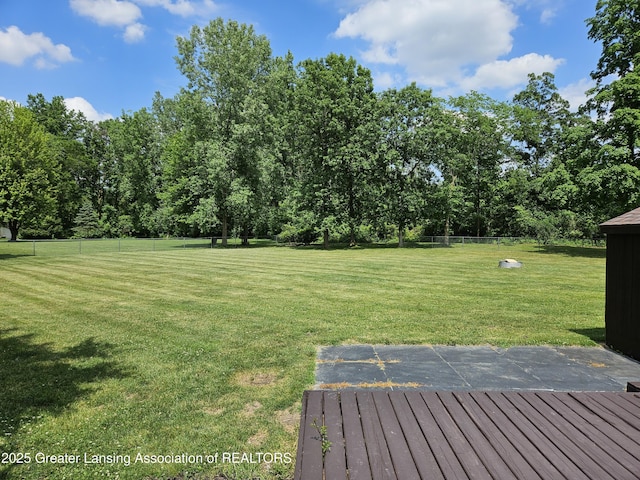 13723 Clintonia Rd, Portland, MI 48875 - photo 64