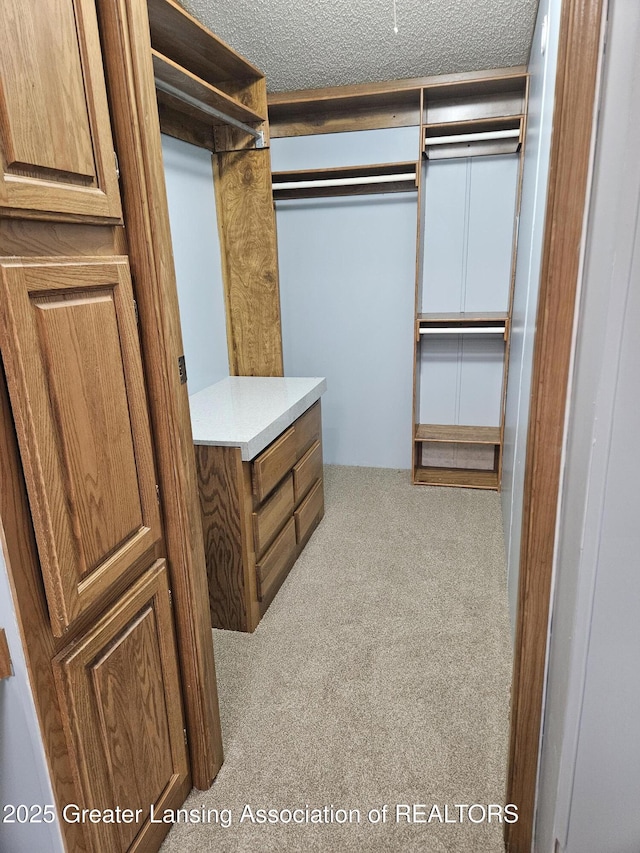 13723 Clintonia Rd, Portland, MI 48875 - photo 39