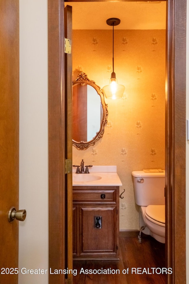 280 Winterberry Ln, Okemos, MI 48864 - bathroom featuring vanity and wood finished floors