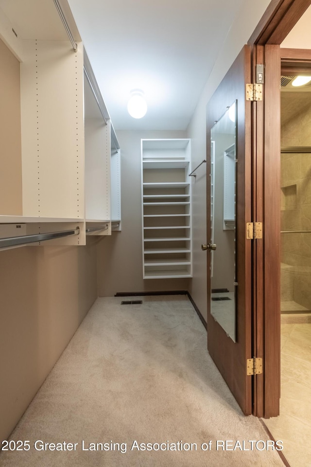 280 Winterberry Ln, Okemos, MI 48864 - spacious closet featuring light colored carpet