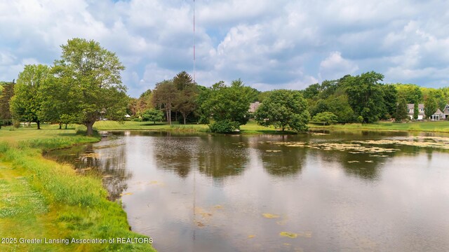 280 Winterberry Ln, Okemos, MI 48864 - water view