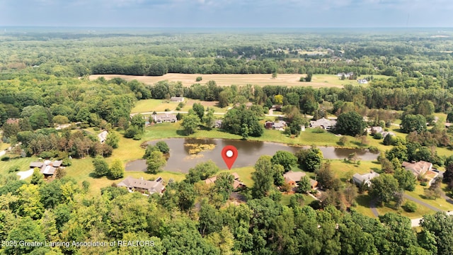 280 Winterberry Ln, Okemos, MI 48864 - bird's eye view of a large body of water and a forest