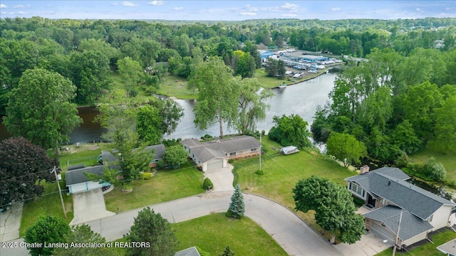 10138 Baron Blvd, Dimondale, MI 48821 - aerial view of property's location with a nearby body of water