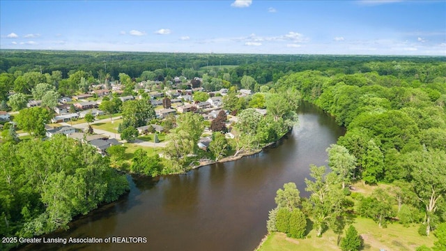 10138 Baron Blvd, Dimondale, MI 48821 - bird's eye view of a forest and a nearby body of water