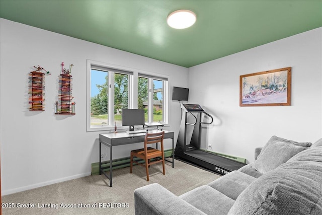 10138 Baron Blvd, Dimondale, MI 48821 - home office with carpet floors and baseboards
