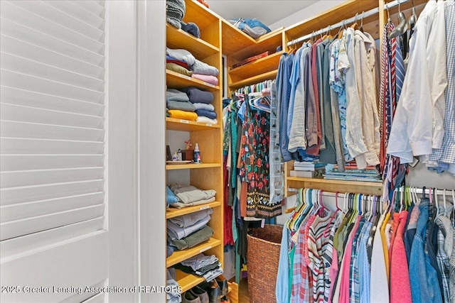 10138 Baron Blvd, Dimondale, MI 48821 - view of walk in closet