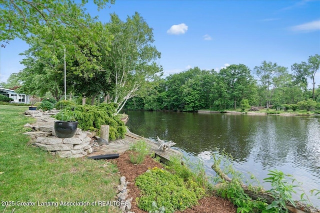 10138 Baron Blvd, Dimondale, MI 48821 - water view