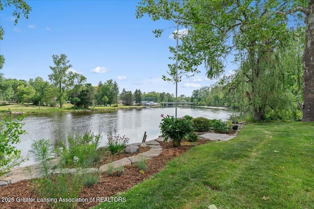 10138 Baron Blvd, Dimondale, MI 48821 - water view