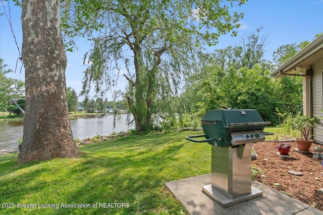 10138 Baron Blvd, Dimondale, MI 48821 - view of green lawn with a water view