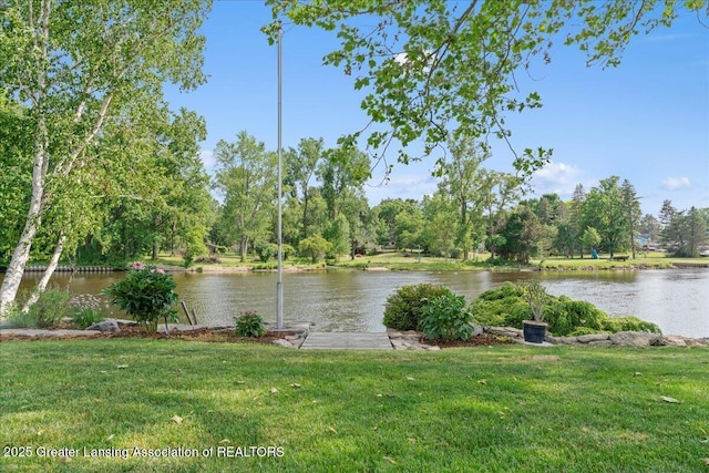 10138 Baron Blvd, Dimondale, MI 48821 - water view