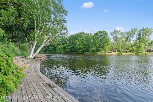 10138 Baron Blvd, Dimondale, MI 48821 - dock featuring a water view