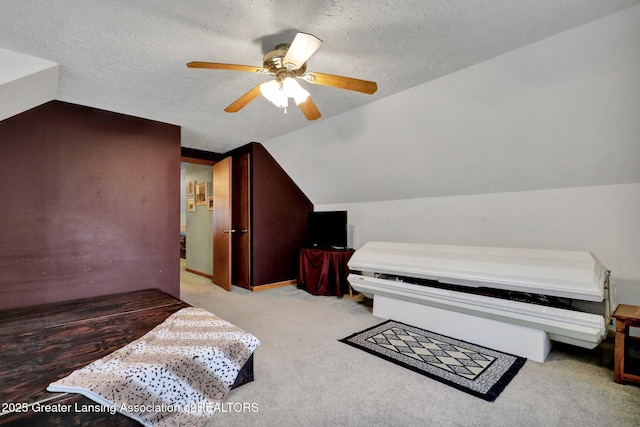 14235 Saxton Rd, Springport, MI 49284 - bedroom featuring vaulted ceiling, carpet floors, a ceiling fan, and a textured ceiling