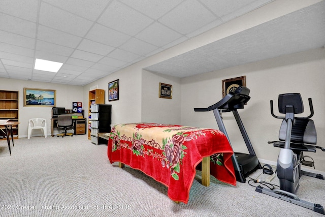 1823 Cricket Ln, East Lansing, MI 48823 - bedroom with carpet and a paneled ceiling