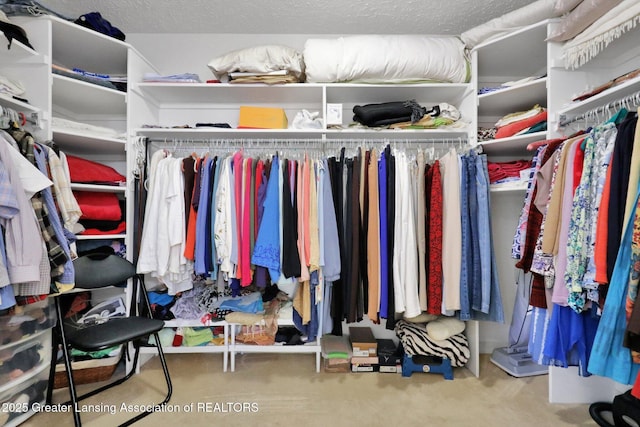 1823 Cricket Ln, East Lansing, MI 48823 - walk in closet featuring carpet