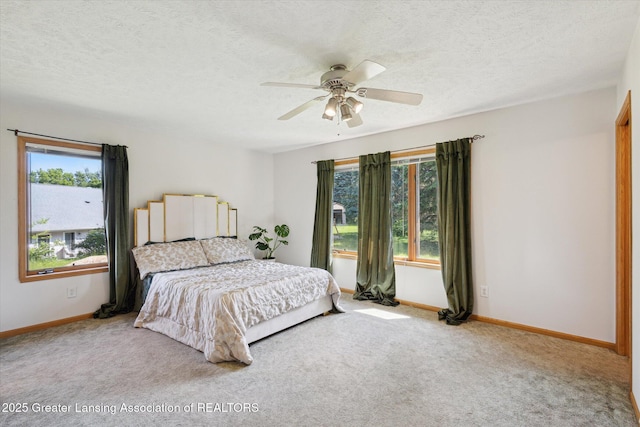 248 Birch Ln, Dimondale, MI 48821 - photo 18