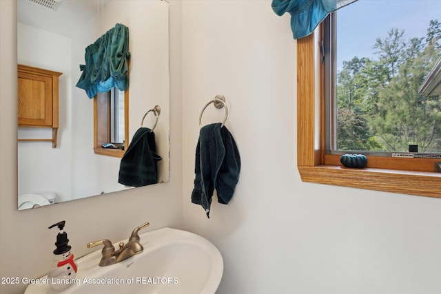 248 Birch Ln, Dimondale, MI 48821 - photo 29