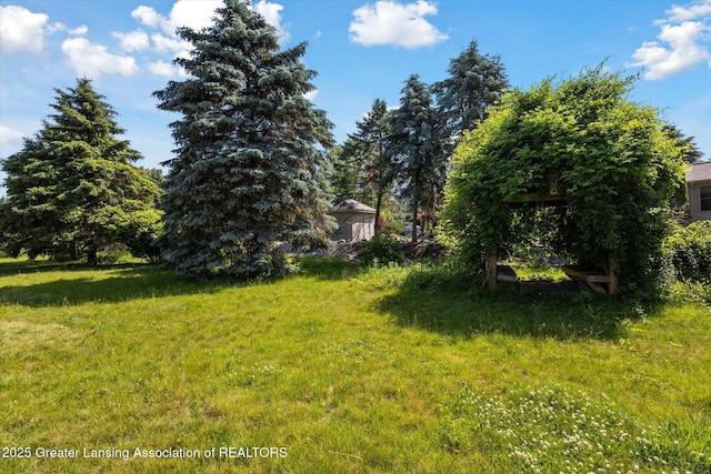 248 Birch Ln, Dimondale, MI 48821 - photo 47
