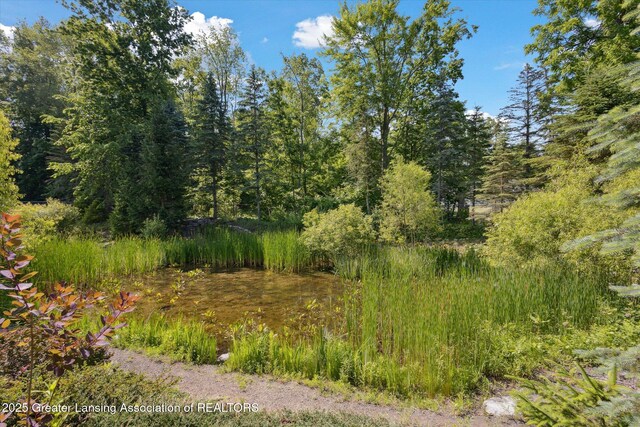 248 Birch Ln, Dimondale, MI 48821 - photo 48