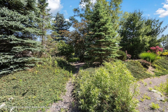 248 Birch Ln, Dimondale, MI 48821 - photo 49