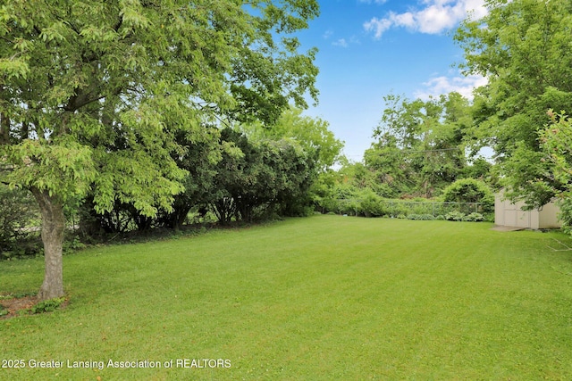 528 Thomas L Pkwy, Lansing, MI 48917 - view of yard with a shed and view of scattered trees