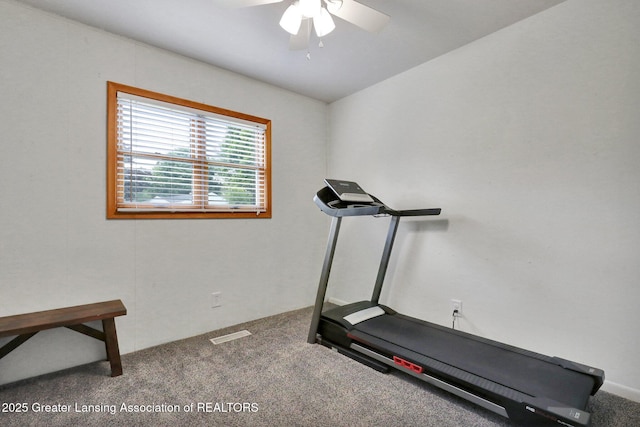 528 Thomas L Pkwy, Lansing, MI 48917 - exercise area with carpet flooring and ceiling fan