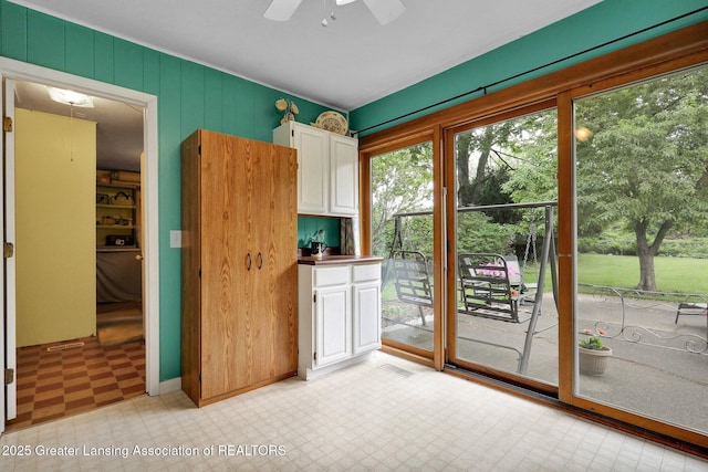 528 Thomas L Pkwy, Lansing, MI 48917 - doorway with light floors and a ceiling fan