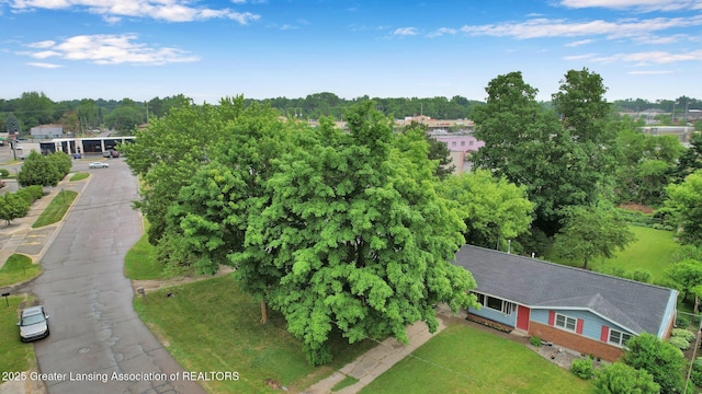 528 Thomas L Pkwy, Lansing, MI 48917 - aerial view