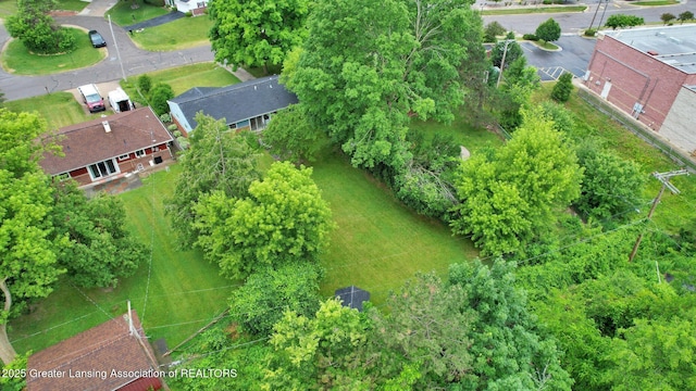528 Thomas L Pkwy, Lansing, MI 48917 - aerial view