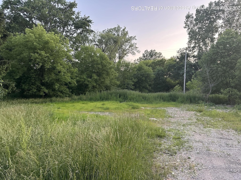 1463 Onondaga Rd, Holt, MI 48842