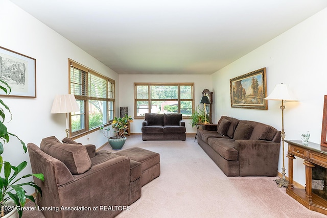 943 Lantern Hill Dr, East Lansing, MI 48823 - living area featuring carpet flooring