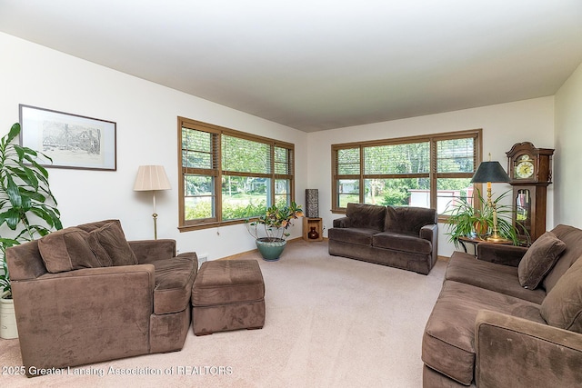 943 Lantern Hill Dr, East Lansing, MI 48823 - carpeted living area with healthy amount of natural light