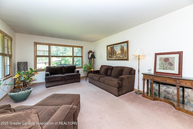 943 Lantern Hill Dr, East Lansing, MI 48823 - living area with carpet and baseboards