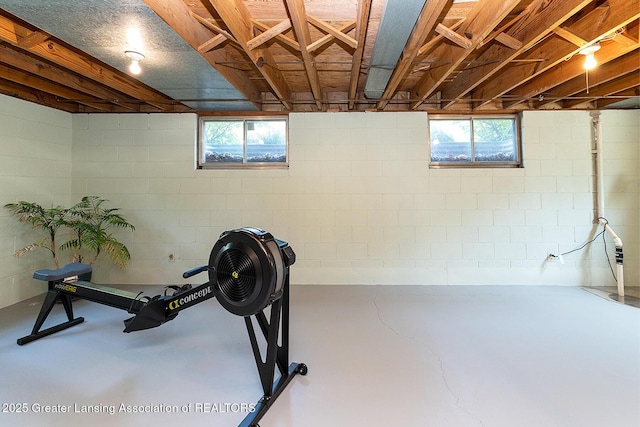 943 Lantern Hill Dr, East Lansing, MI 48823 - view of exercise room
