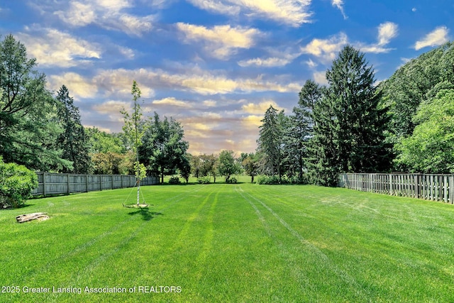 943 Lantern Hill Dr, East Lansing, MI 48823 - view of fenced backyard