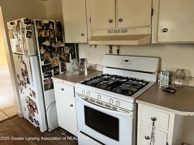 500 N Catherine St, Lansing, MI 48917 - kitchen featuring white appliances, under cabinet range hood, and dark wood-style floors
