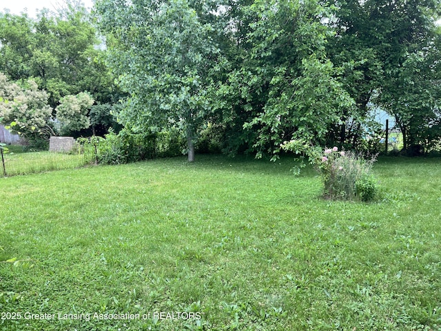 500 N Catherine St, Lansing, MI 48917 - view of grassy yard
