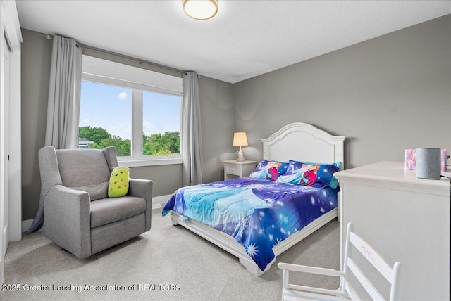 6102 Sleepy Hollow Ln, East Lansing, MI 48823 - view of carpeted bedroom