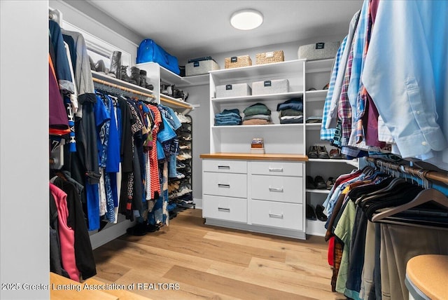 6102 Sleepy Hollow Ln, East Lansing, MI 48823 - spacious closet featuring light wood-type flooring