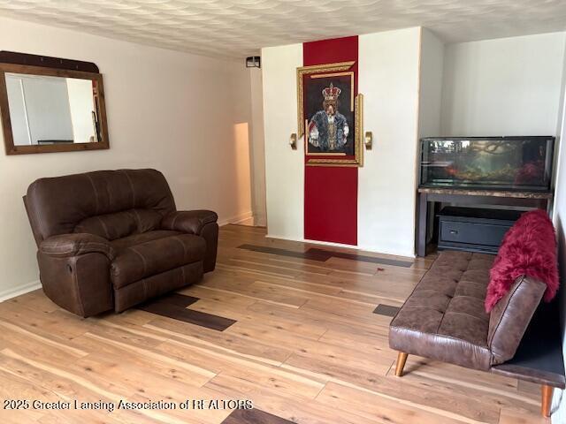 6321 Marywood Ave, Lansing, MI 48911 - living room with light wood-style floors and a textured ceiling
