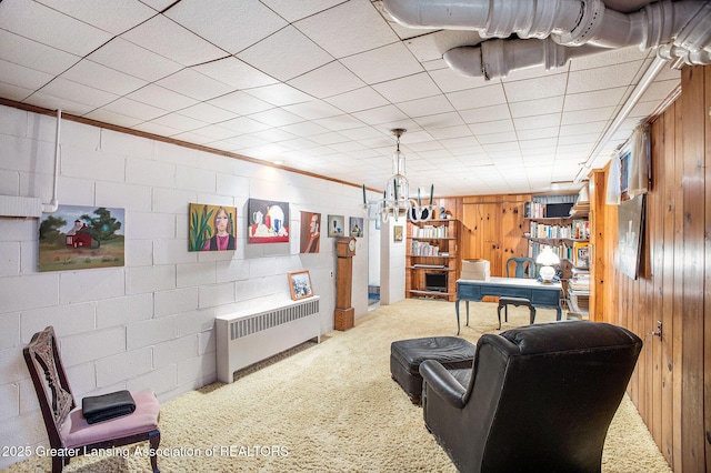 2782 Roseland Ave, East Lansing, MI 48823 - carpeted living area with radiator, wood walls, and concrete block wall