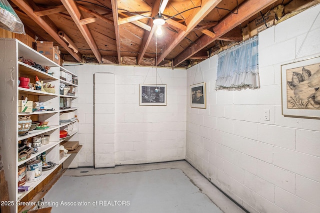 2782 Roseland Ave, East Lansing, MI 48823 - unfinished basement with concrete block wall