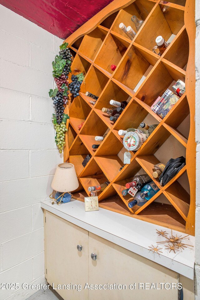 2782 Roseland Ave, East Lansing, MI 48823 - wine cellar featuring concrete block wall