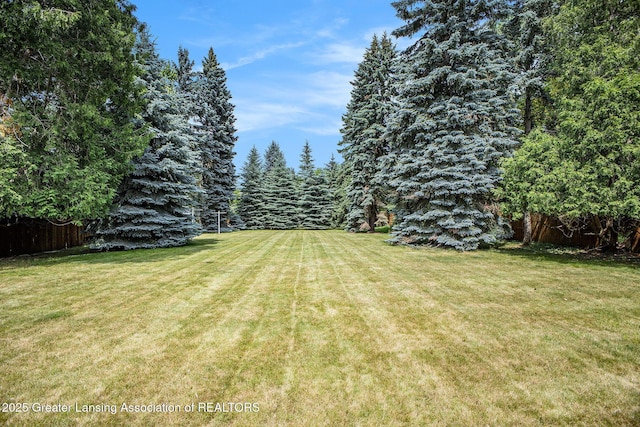 2782 Roseland Ave, East Lansing, MI 48823 - view of yard