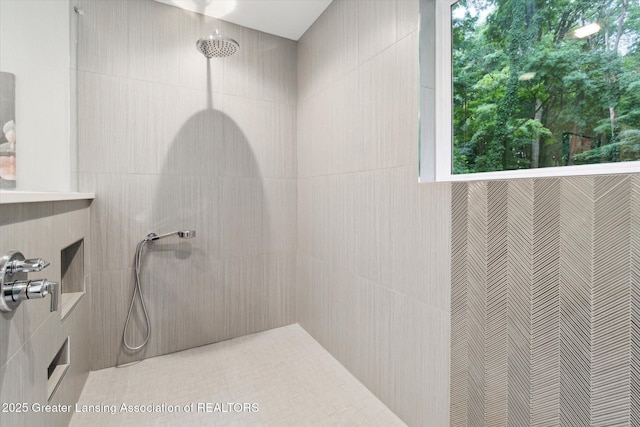 3901 W Howe Rd, Dewitt, MI 48820 - full bath with tiled shower